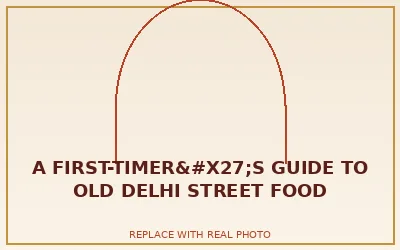 A First-Timer's Guide to Old Delhi Street Food