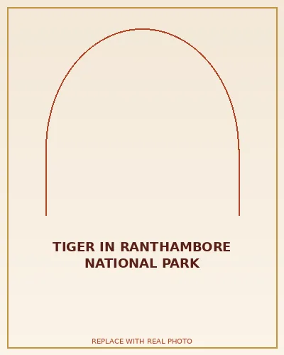 Tiger in Ranthambore National Park