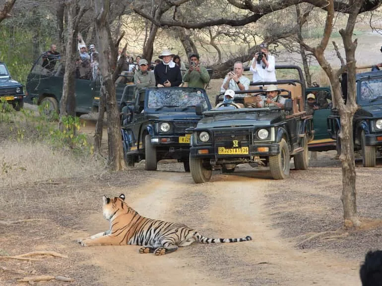 Ranthambore, North India