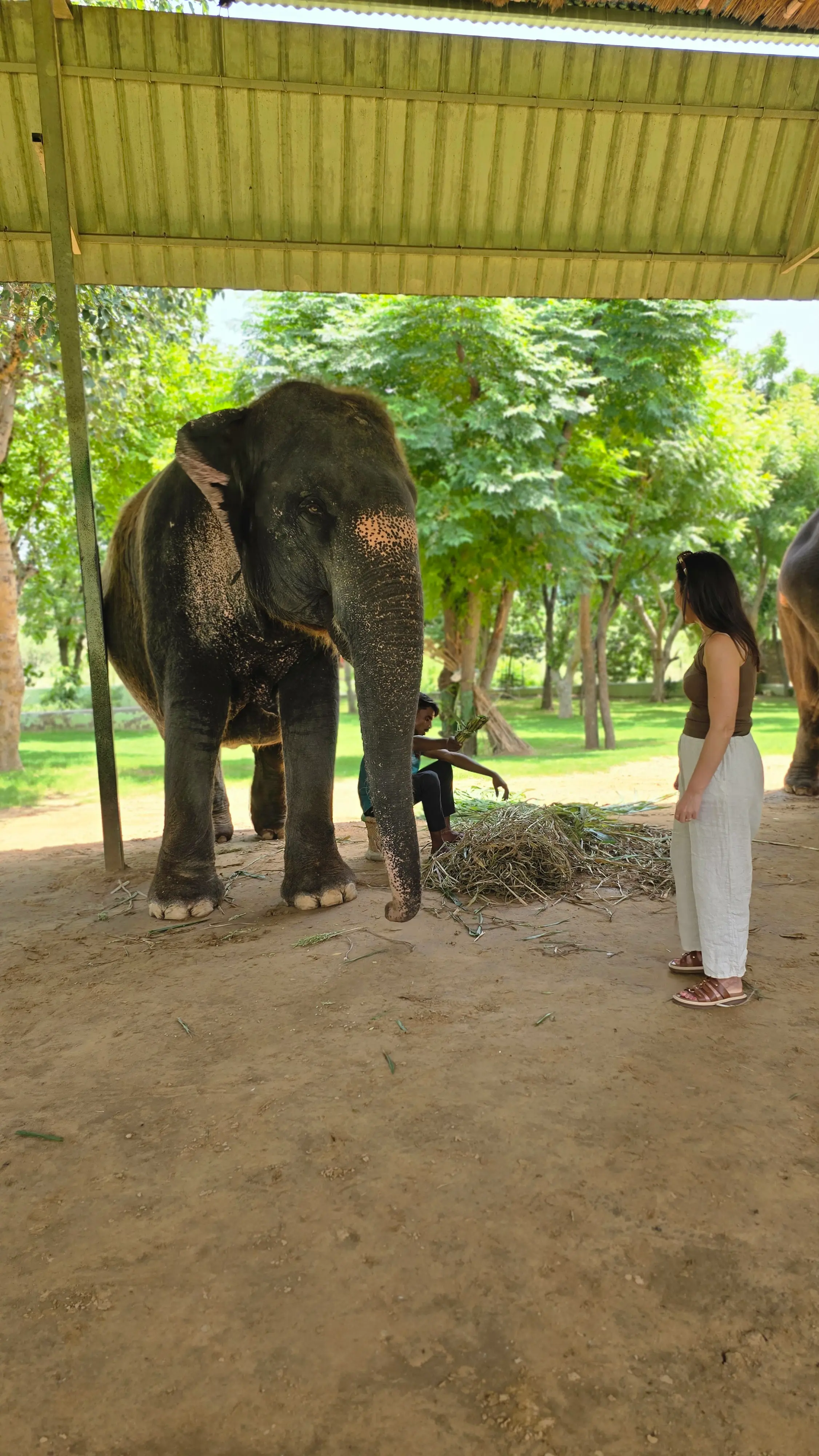Ranthambore Safari, TourGuideTaj private tour